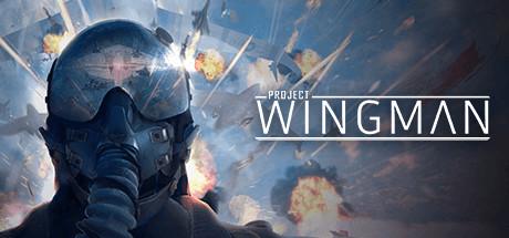 僚机计划（Project Wingman）官方中文 v2.1.1A